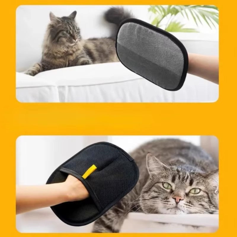 Chat détendu pendant le brossage au gant