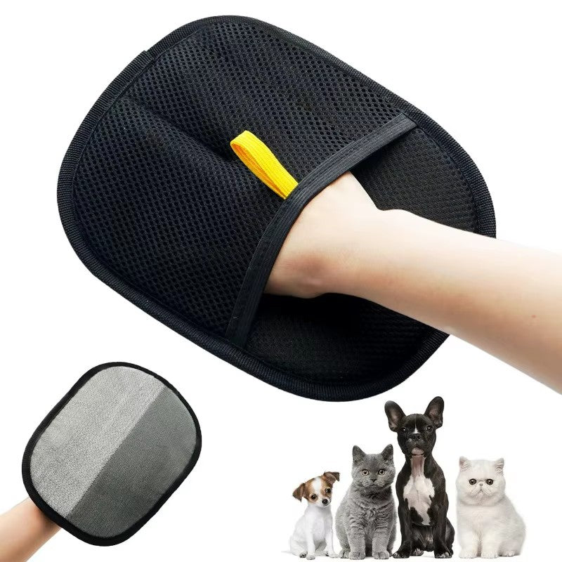 Chien et gant de toilettage pour chats et chiens