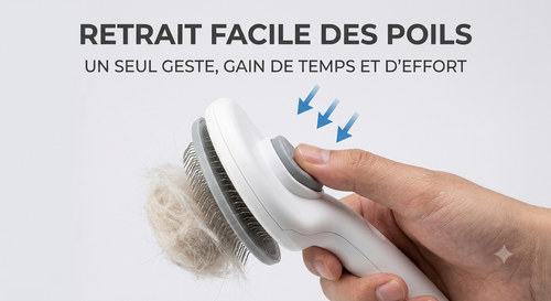 Retrait facile des poils morts en un clic avec la brosse auto-nettoyante